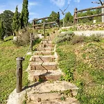 La Pallisa *