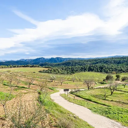 Country house La Pallisa Penarroya De Tastavins