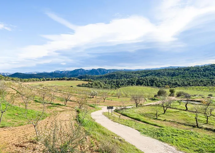 Casa de Campo La Pallisa